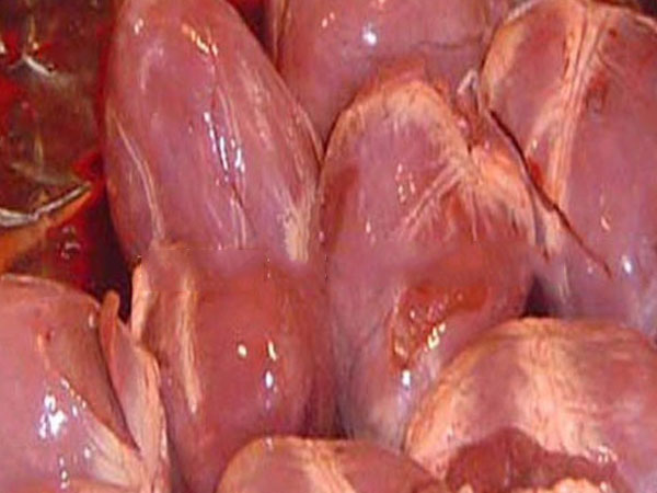 东莞粮油配送-肉类食材